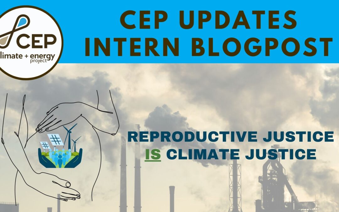 Reproductive Justice is Climate Justice